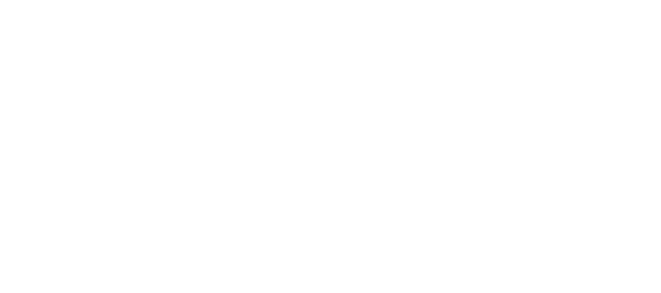 株式会社オールフェスタ